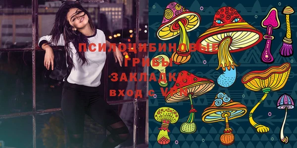 гидра Алзамай