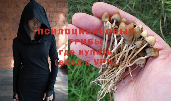 ПСИЛОЦИБИНОВЫЕ ГРИБЫ Алексин